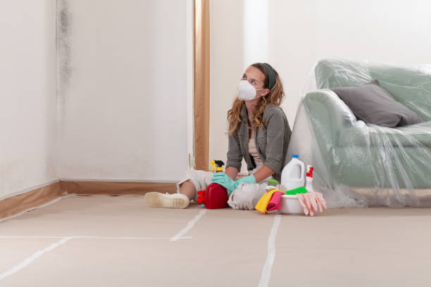 Reliable Black Mold Removal contractor in Waconia, MN by WQB Mold Removal